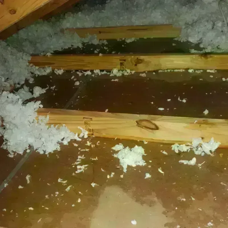 Attic Water Damage in Greenfield, IL