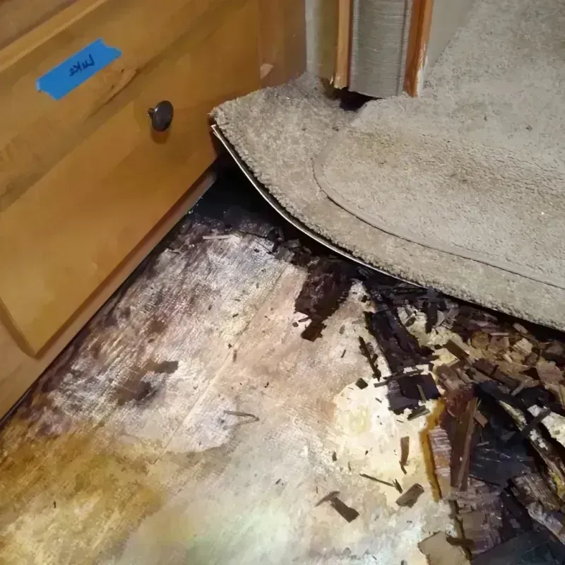 Wood Floor Water Damage in Greenfield, IL